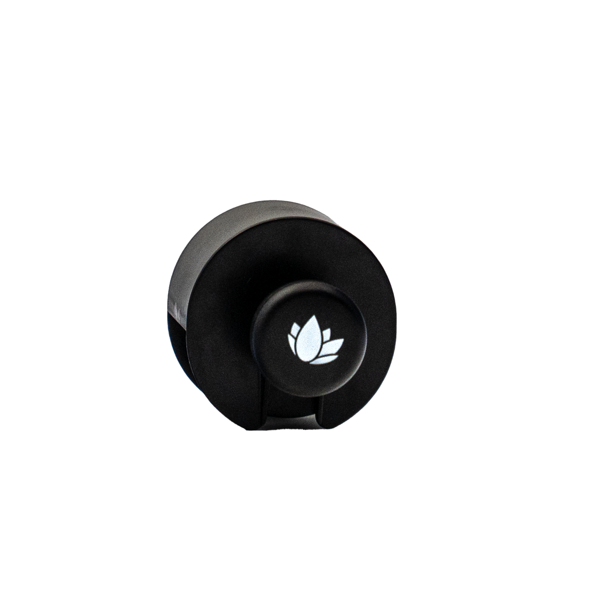 Nanolex Tire Dressing Brush