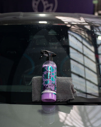 Nanolex WCWC Insect Wipe and Go